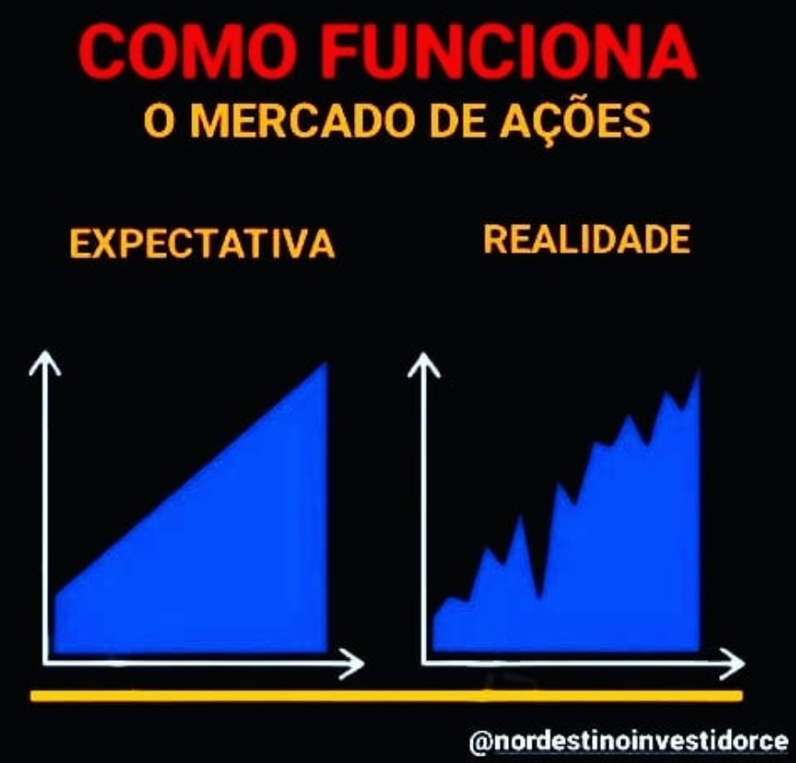 Explicação sobre como funciona o mercado de ações, destacando a relação entre expectativa e realidade nos investimentos.
